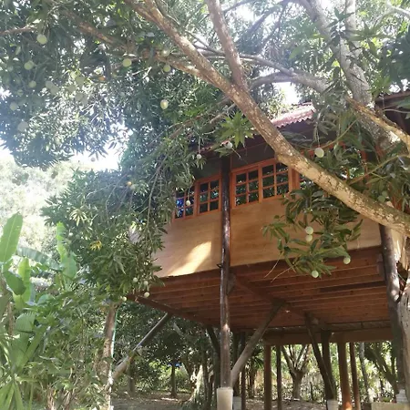 Finca Los Mangos Palomino Exterior photo