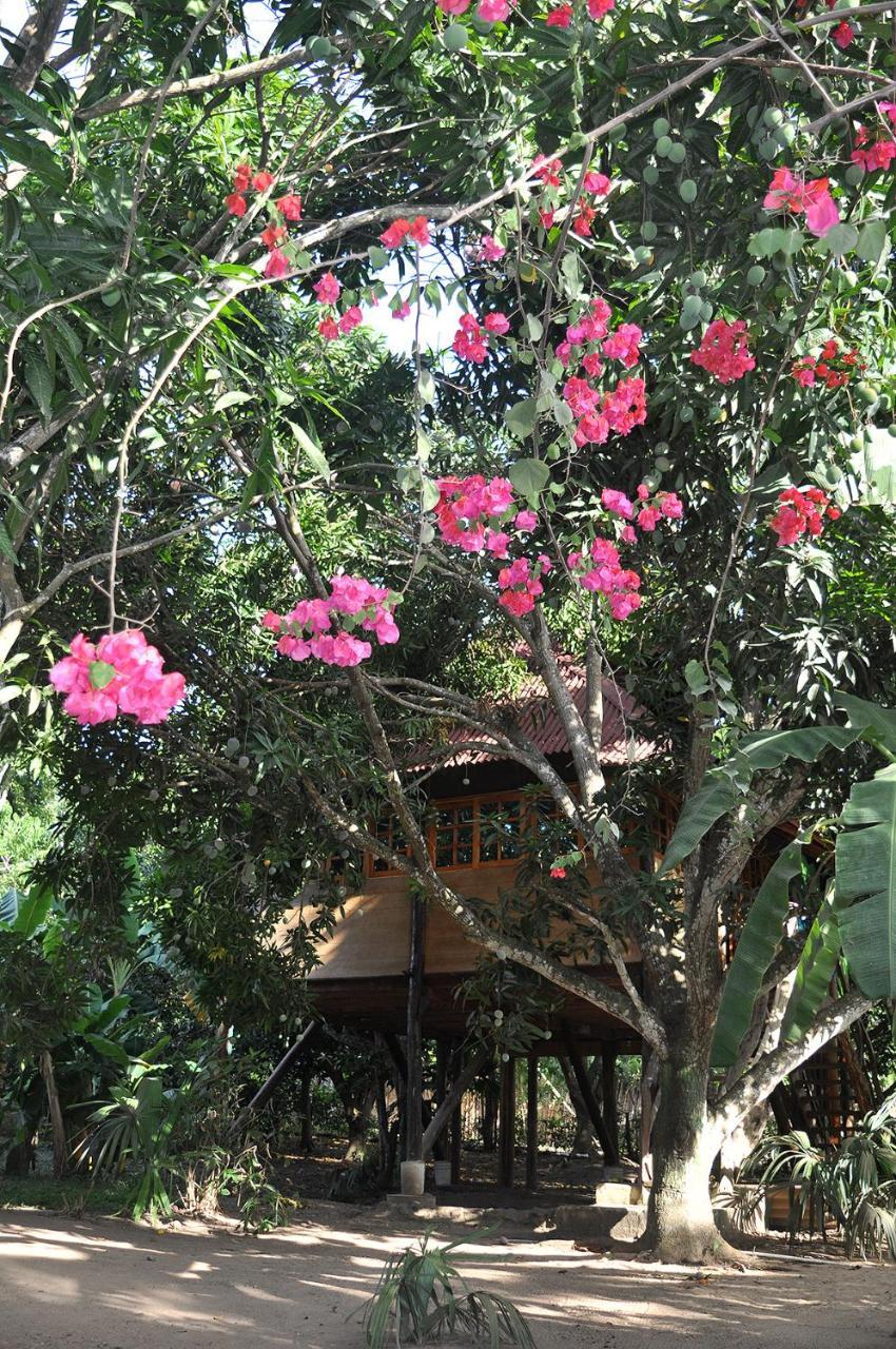 Apartment Mangos Palomino
